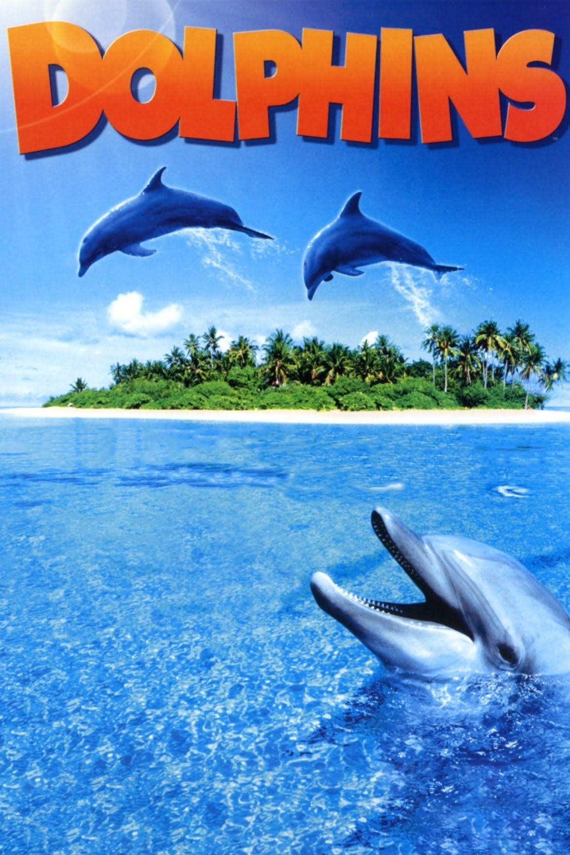 Постер Dolphins